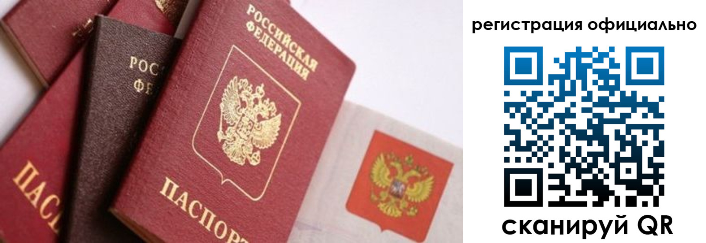 прописка гарантия в Каменке